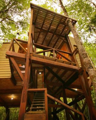 Casita Arbol