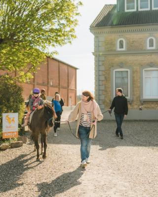 Büdlfarm - Der Familien-Erlebnishof in Strandnähe