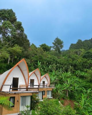 Selayang Olivehill - Kemewahan Glamping di Hutan