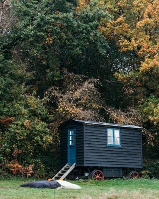 Beautiful, Secluded Shepherd's Hut in the National Park