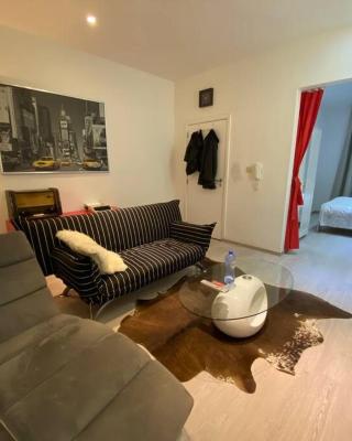 Antwerp City apartment 3