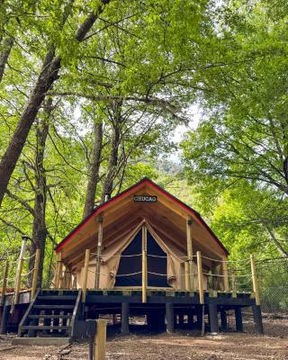 Casa del Árbol - Glamping