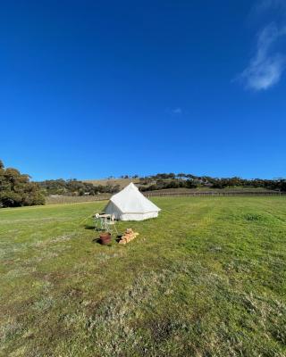 Cosy Glamping Tent 6