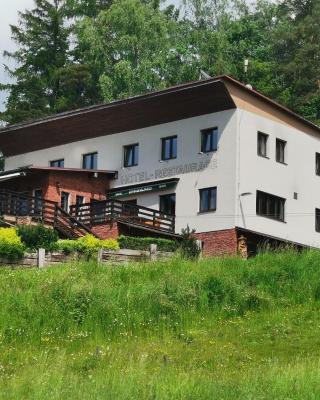 Hotel Styl Hlinsko