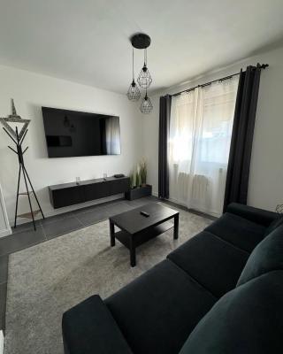 Duplex avec extérieur privatif proche Paris/CDG