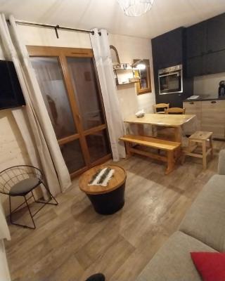 VALLOIRE, studio 22m2, tout à pied, remontées mécaniques à 100m