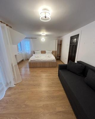 Vila Artemis Straja
