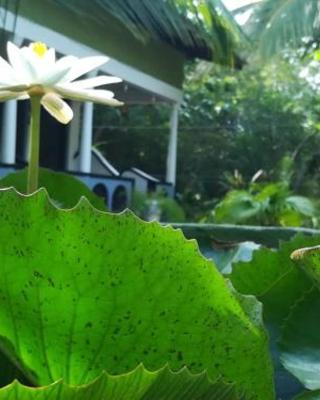 SMW Lodge Sigiriya