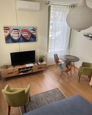 OLD TISA Apartment