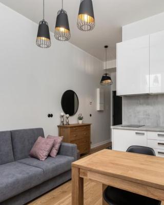 DuoLoft studio apartment Lovisa Casa with gym and terrace