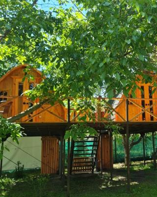 Cabañas Peñaflor Glamping