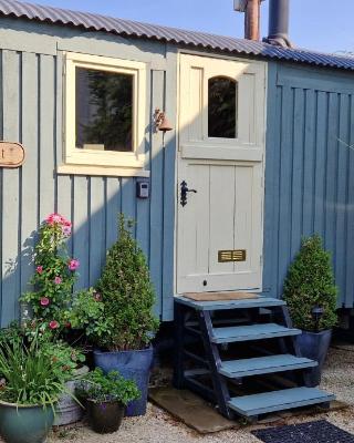 Elmdale Hut - Shepherds Hut