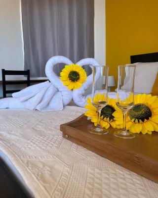 Residencial Sol Point Art