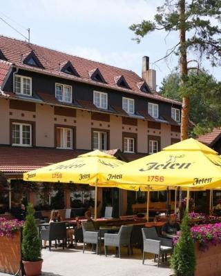 Hotel Pepa