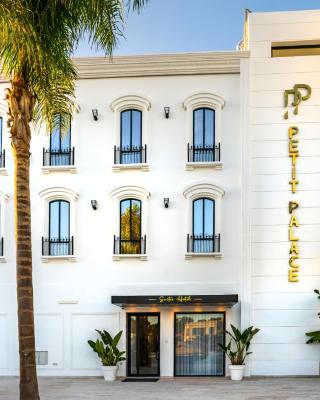 Petit Palace Suites Hotel