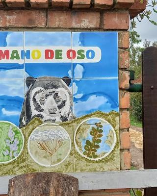 Mano de Oso Guasca