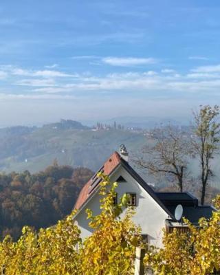 Weingartenhaus Eckberg41