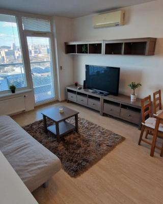 Sunny Apartment with amazing Terrace on the 13th floor near City Center