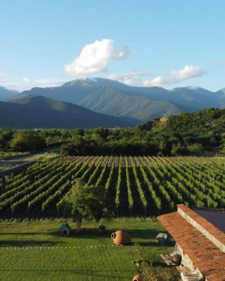 Chubini Winery & Cabins