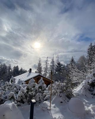 Superbe chalet 12 personnes vue imprenable 2nuits min