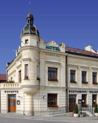 捷琳科瓦别墅酒店