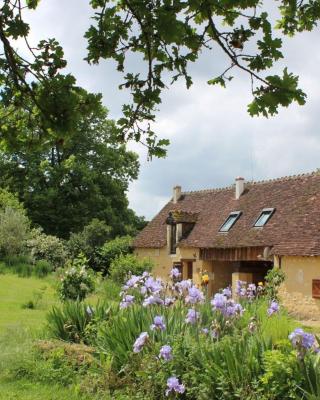 Gîtes à l'ombre des chênes