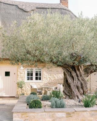 Greystone Guesthouse