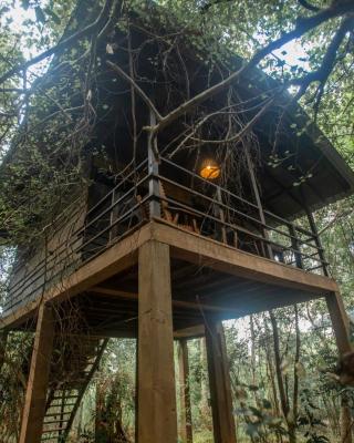 INN On The Tree Eco Resort Sigiriya