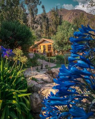 Andean Wings Valley