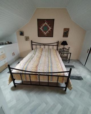 La maison bleue