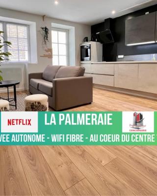 LA PALMERAIE -wifi fibre- centre ville -PROPERTY RENTAL NM