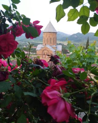 garden and panorama