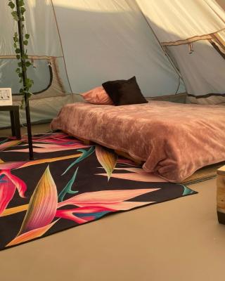 Glamping Las Palmas pescadero bcs