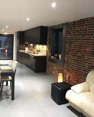 Duplex style industriel à deux pas de la Place