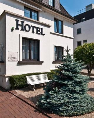 Hotel am Oppspring