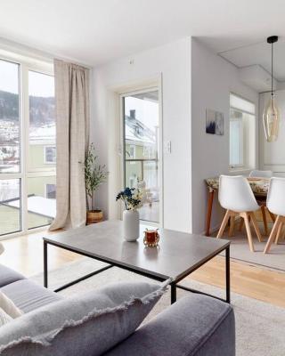 Bergen's Finest: Sleek Oasis with Two Bedroom