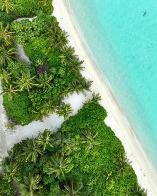 Balma Beach Inn