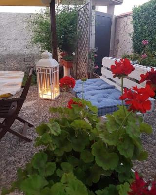 La Rosa dei venti