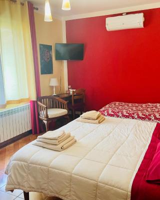 Bed and Breakfast L'Albero Maestro