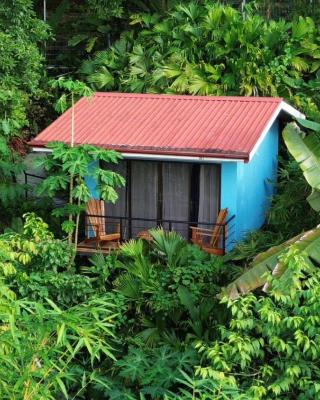 Villas In Sueño Private Jungle Hotel