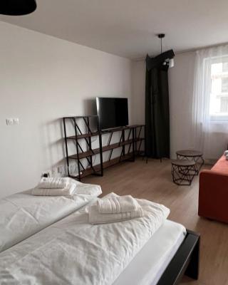 2 room Apartment with terrace, new building, B1