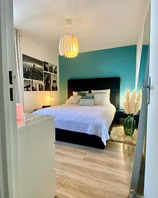 Superbe Chambre avec vue et salle d eau privative dans duplex de 140m2 - proche CHU Clermont