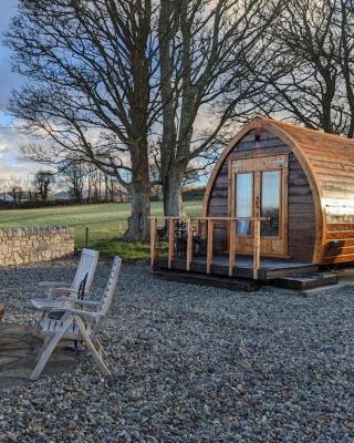 The Pod Fabulous glamping pod near Snowdonia.