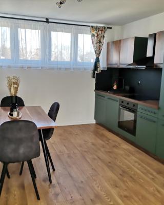 Studio apartman Daruvar