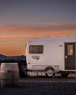 Tarantula Ranch Campground & Vineyard near Death Valley National Park