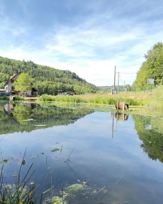 Maison d'hôtes en forêt avec des chevaux, Domaine du Trèfle d'Or