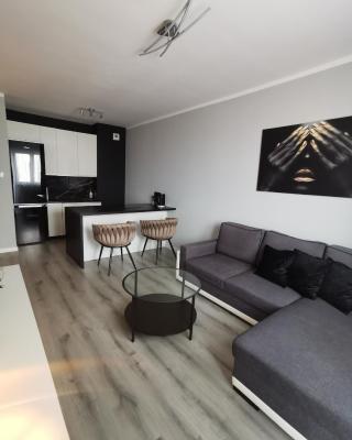 Apartament Londyńska 11