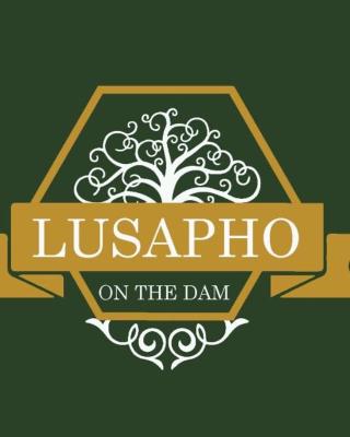 Lusapho On The Dam