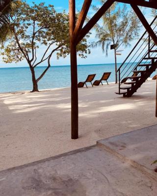 Bon Vivant Front de Mer - Ile Rodrigues