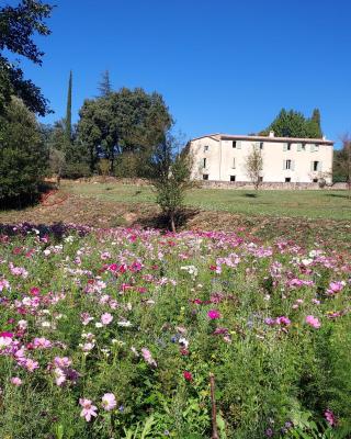 Les Jardins de Falguière